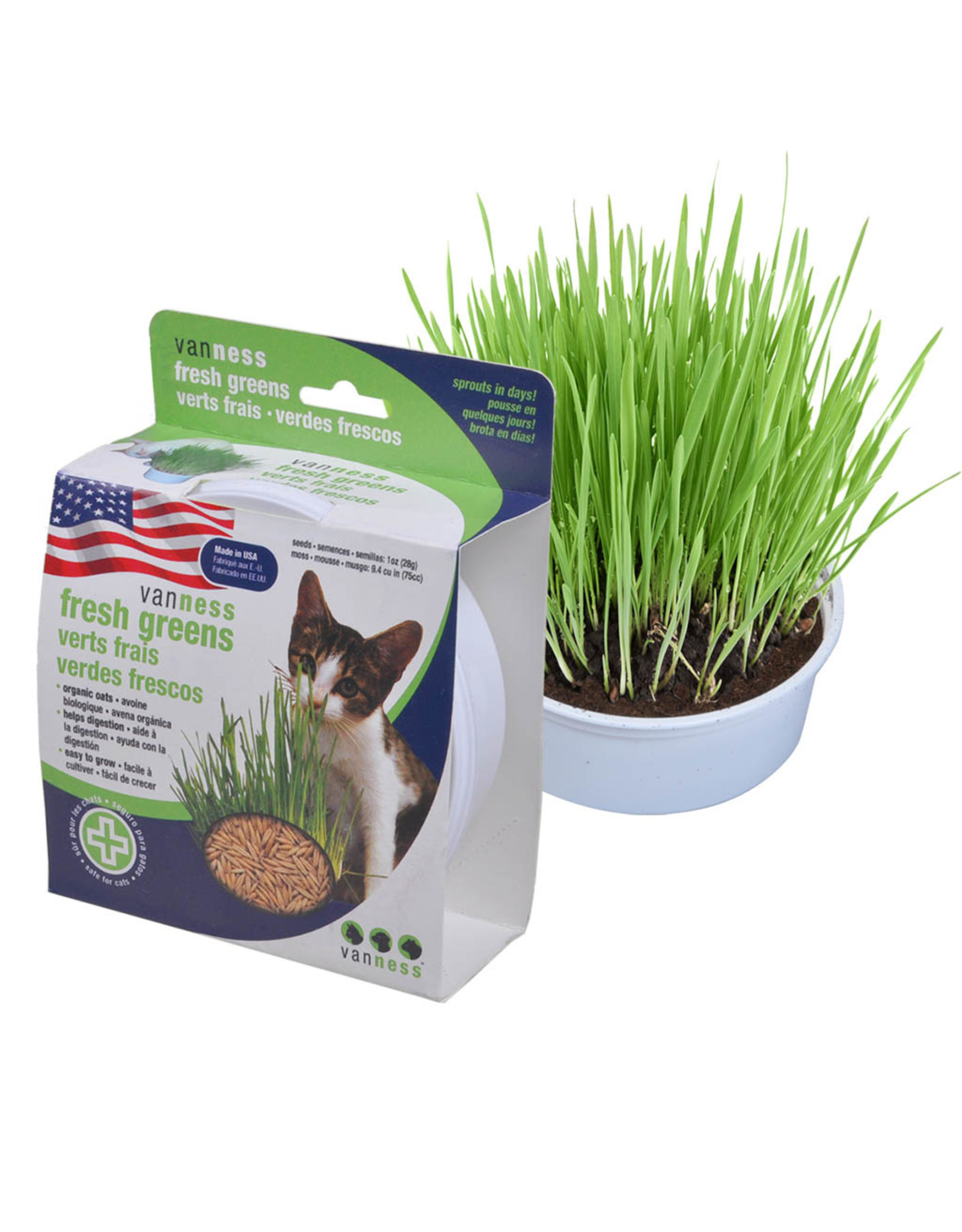 Van Ness Oat Garden Grass Kit / Cat