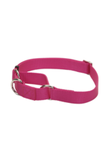 Coastal Pet Products No Slip Adjustable Martingale Collar