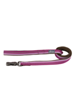 Coastal Pet Products K9 Explorer Reflective Lead Snap Hook