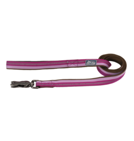 Coastal Pet Products K9 Explorer Reflective Lead Snap Hook