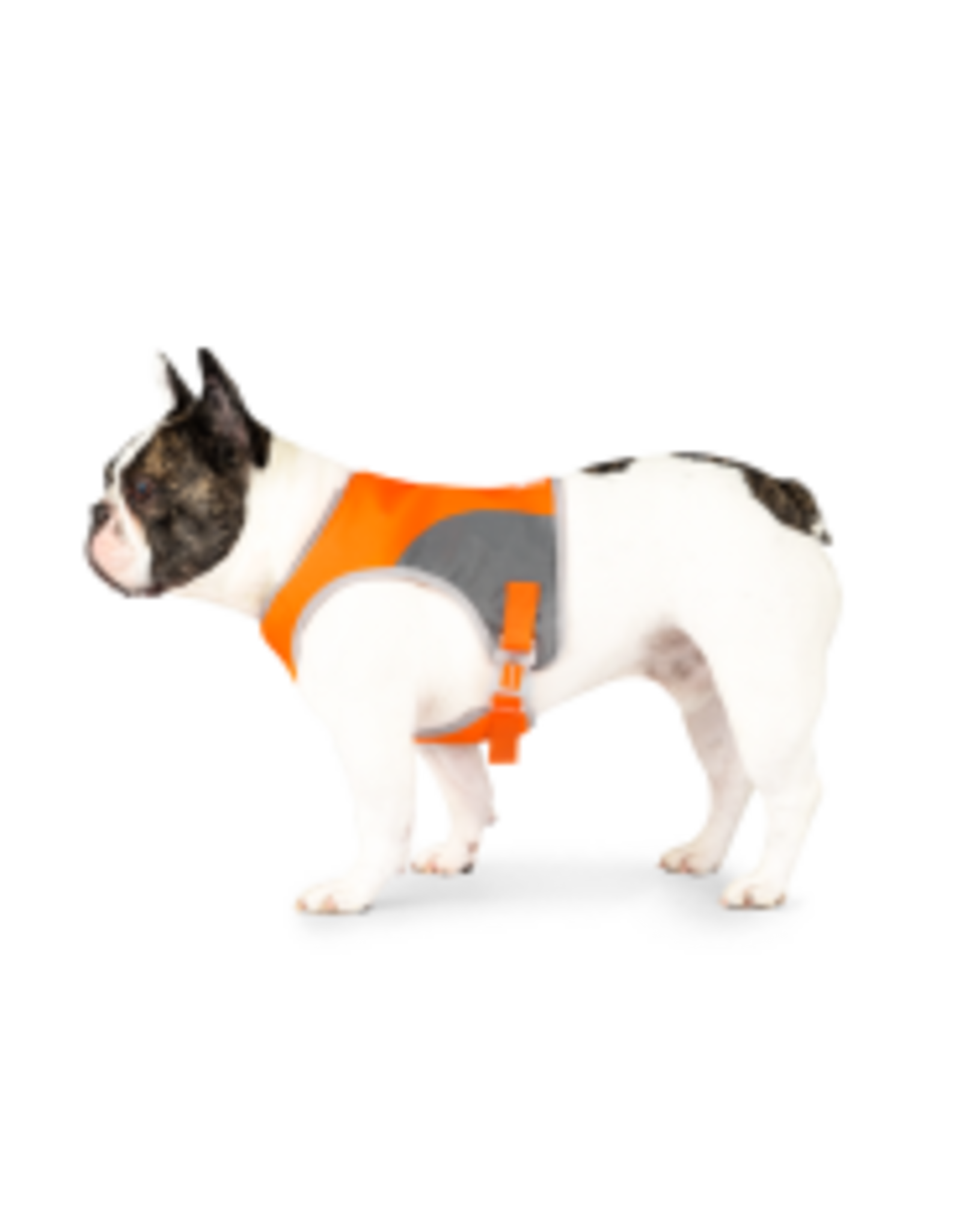 Canada Pooch Dog Safety Vest Orange