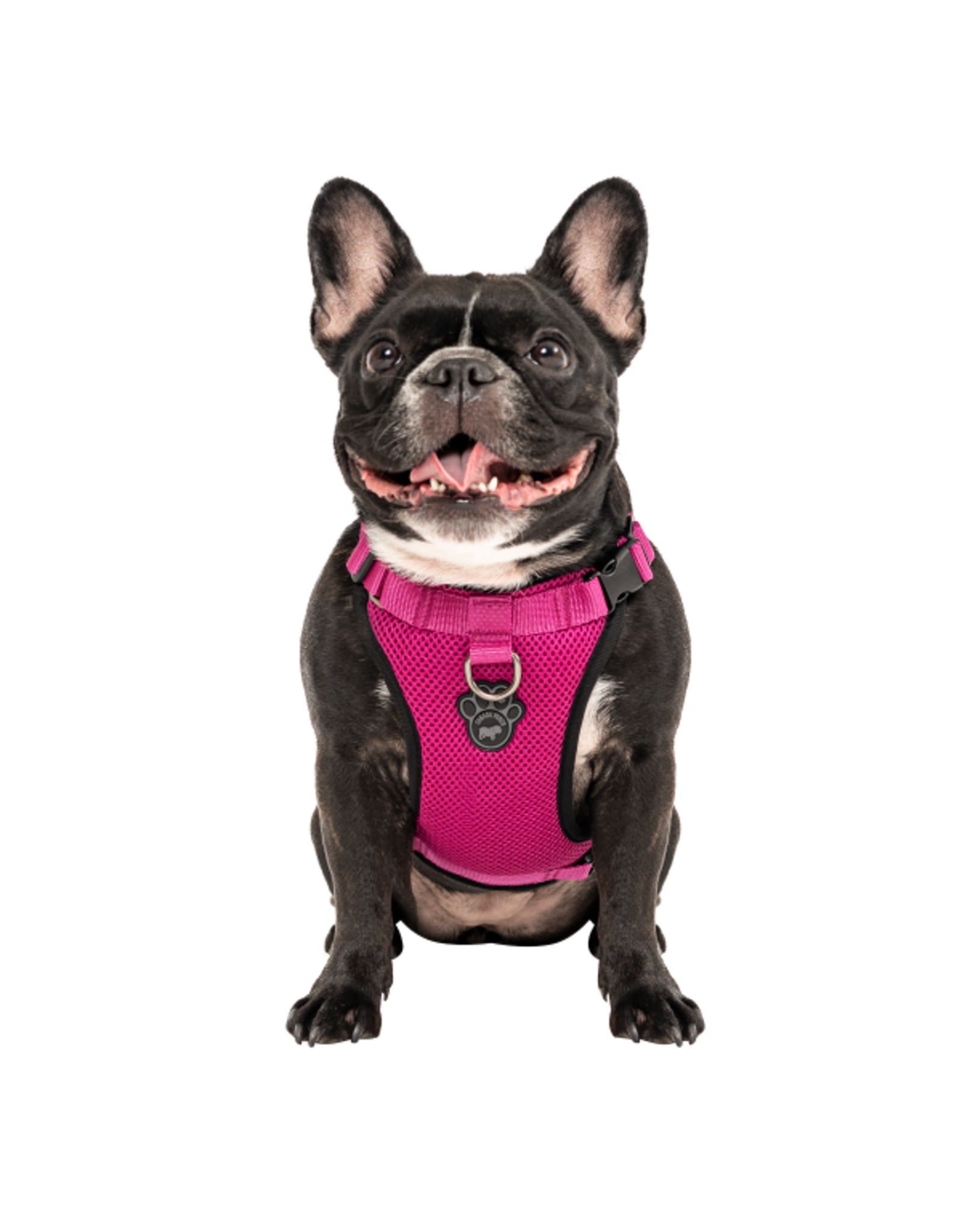 Canada Pooch Everything Harness Mesh