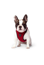 Canada Pooch Everything Harness Mesh