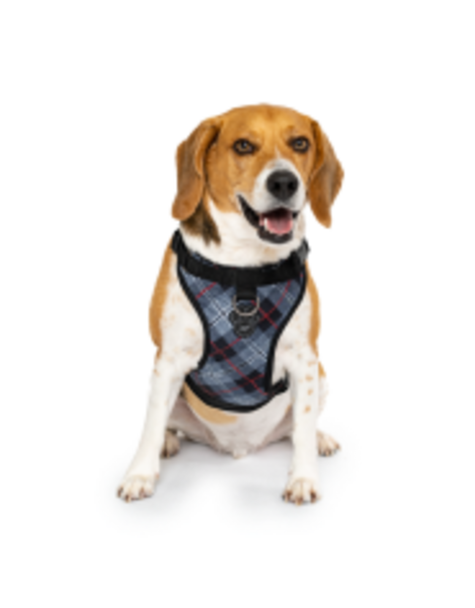 Canada Pooch Everything Harness Water-Resistant