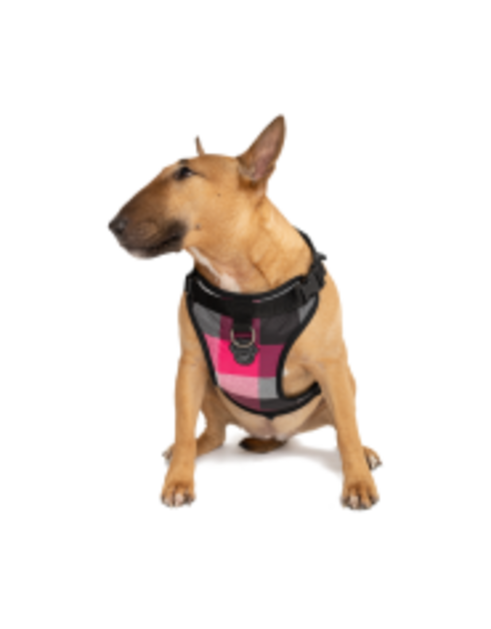 Canada Pooch Everything Harness Water-Resistant
