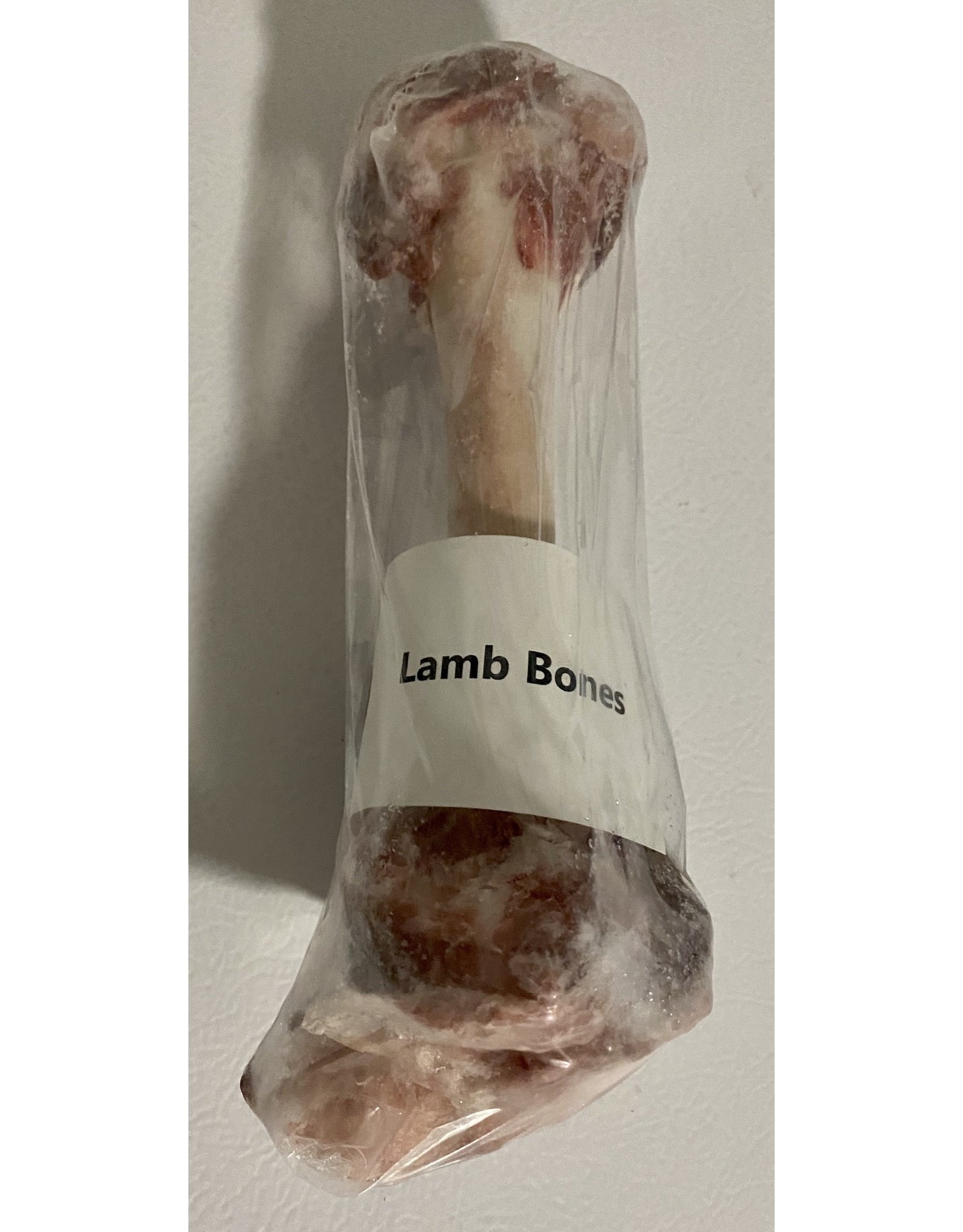 Pets Go Raw Lamb Dino Bones - single