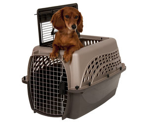 Petmate 2 Door Top Load Kennel