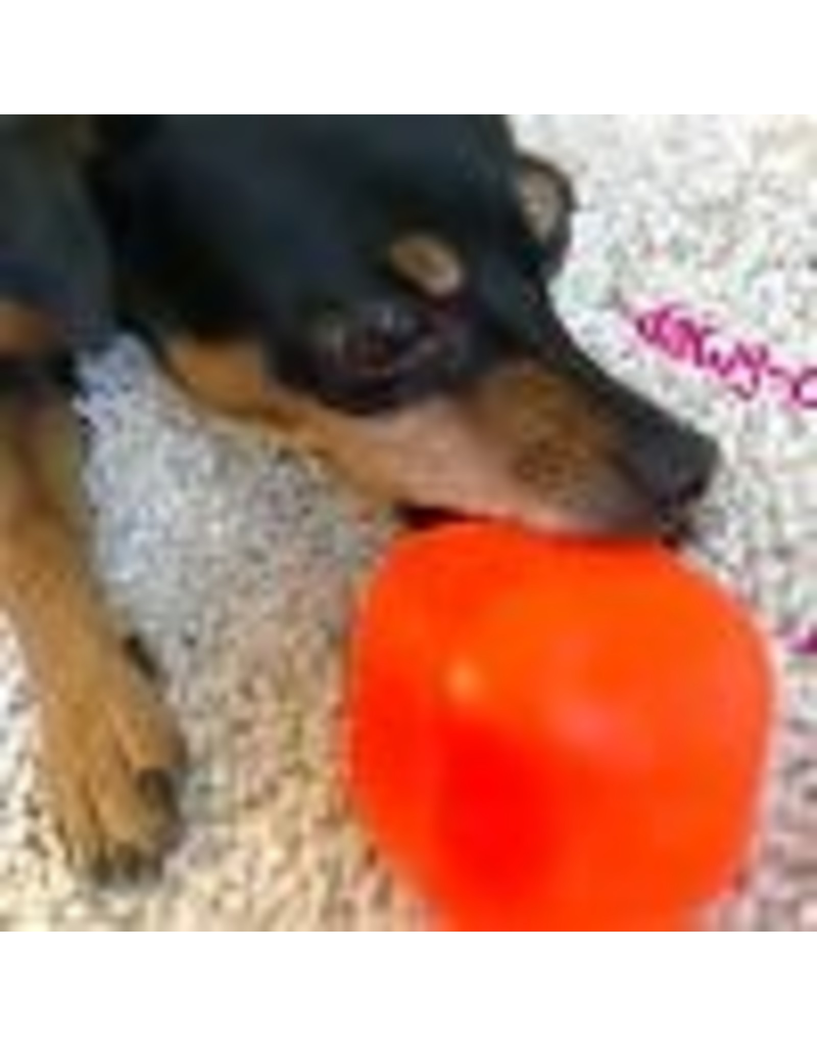 RuffDawg Indestructible Rubber Dawg Cubes