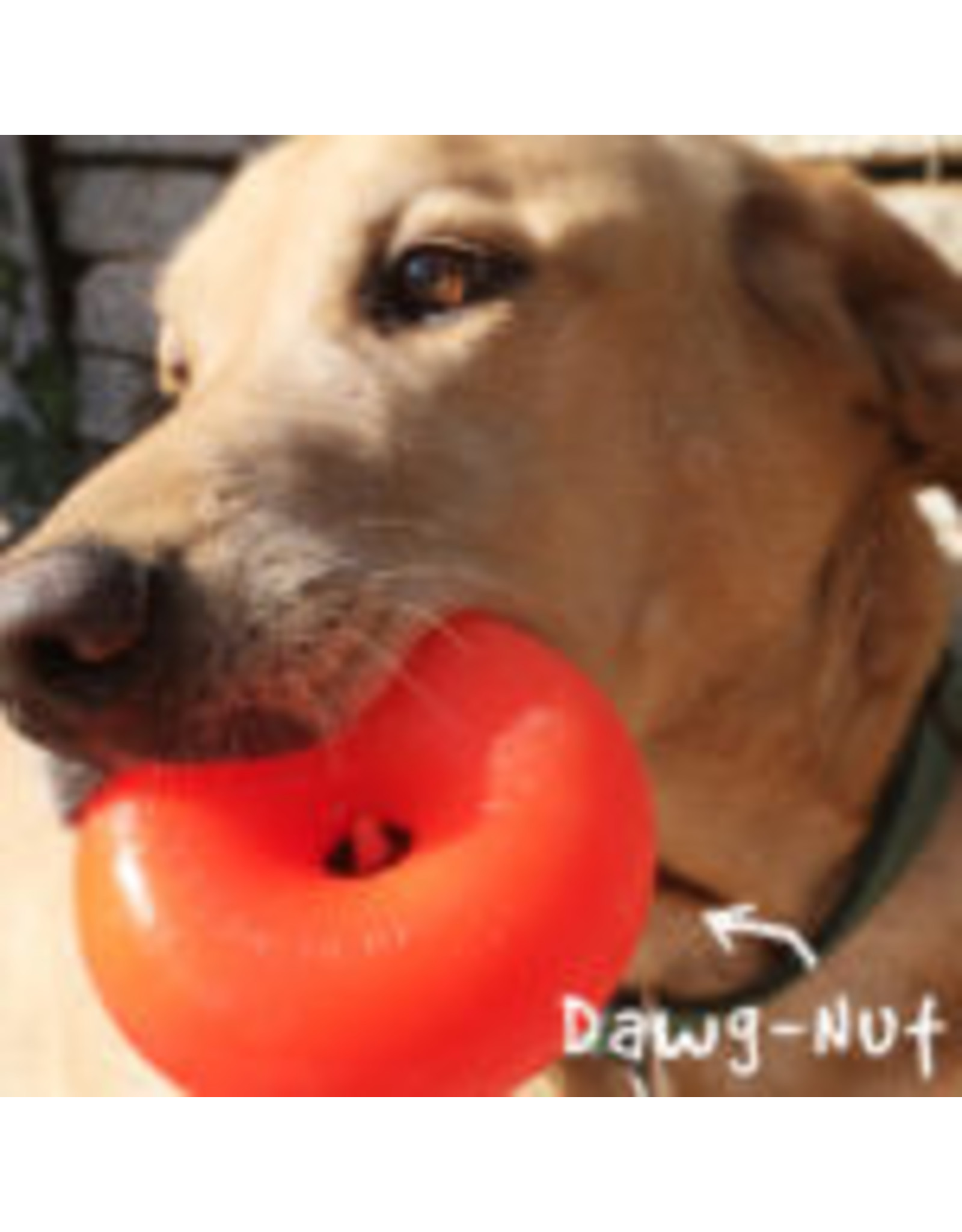 RuffDawg Indestructible Rubber Dawg Nut