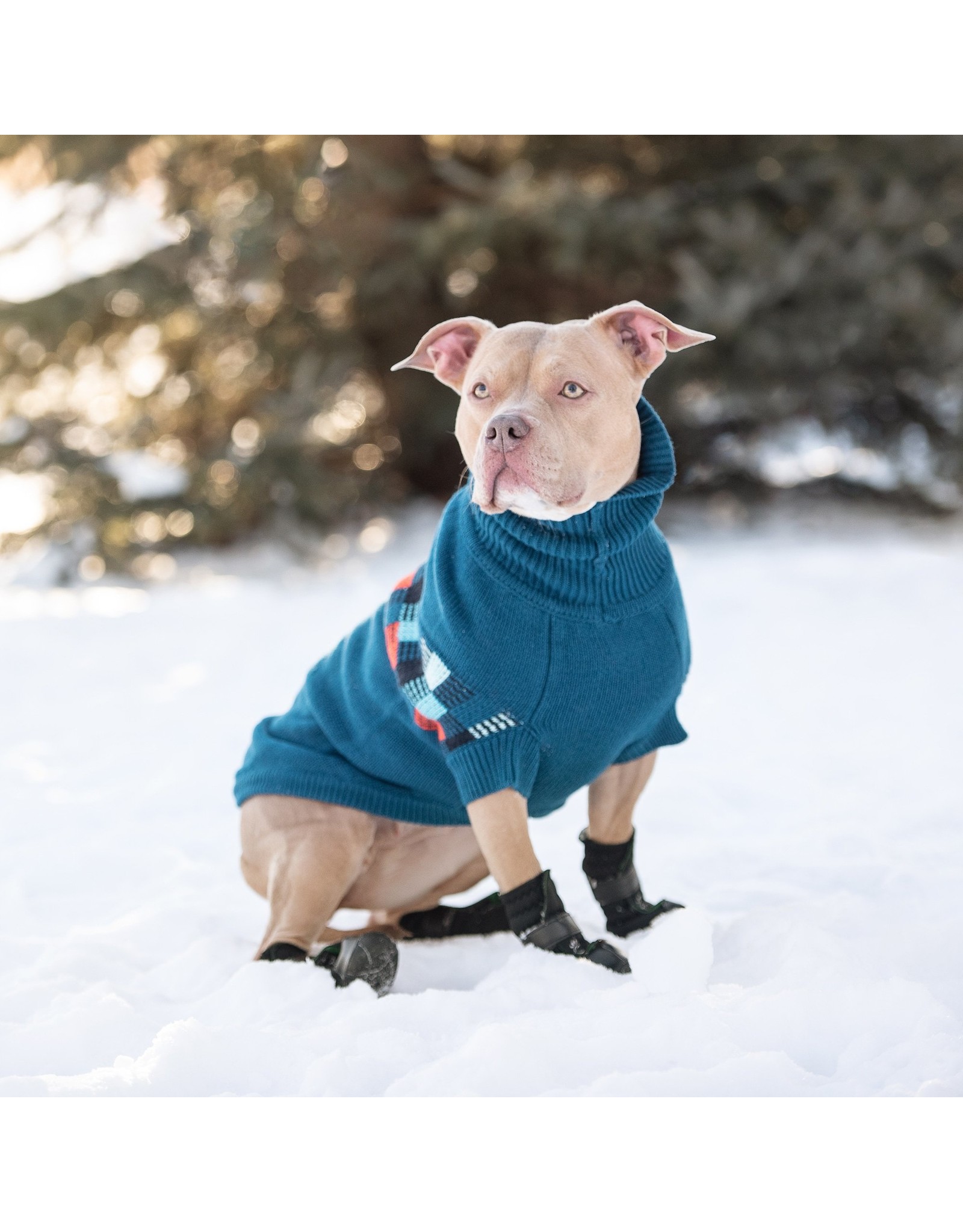 GF Pet Winter Sailor Sweater