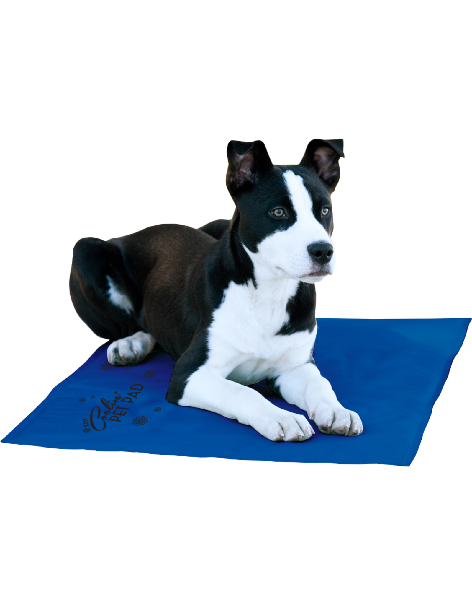 Large 2024 cooling pad