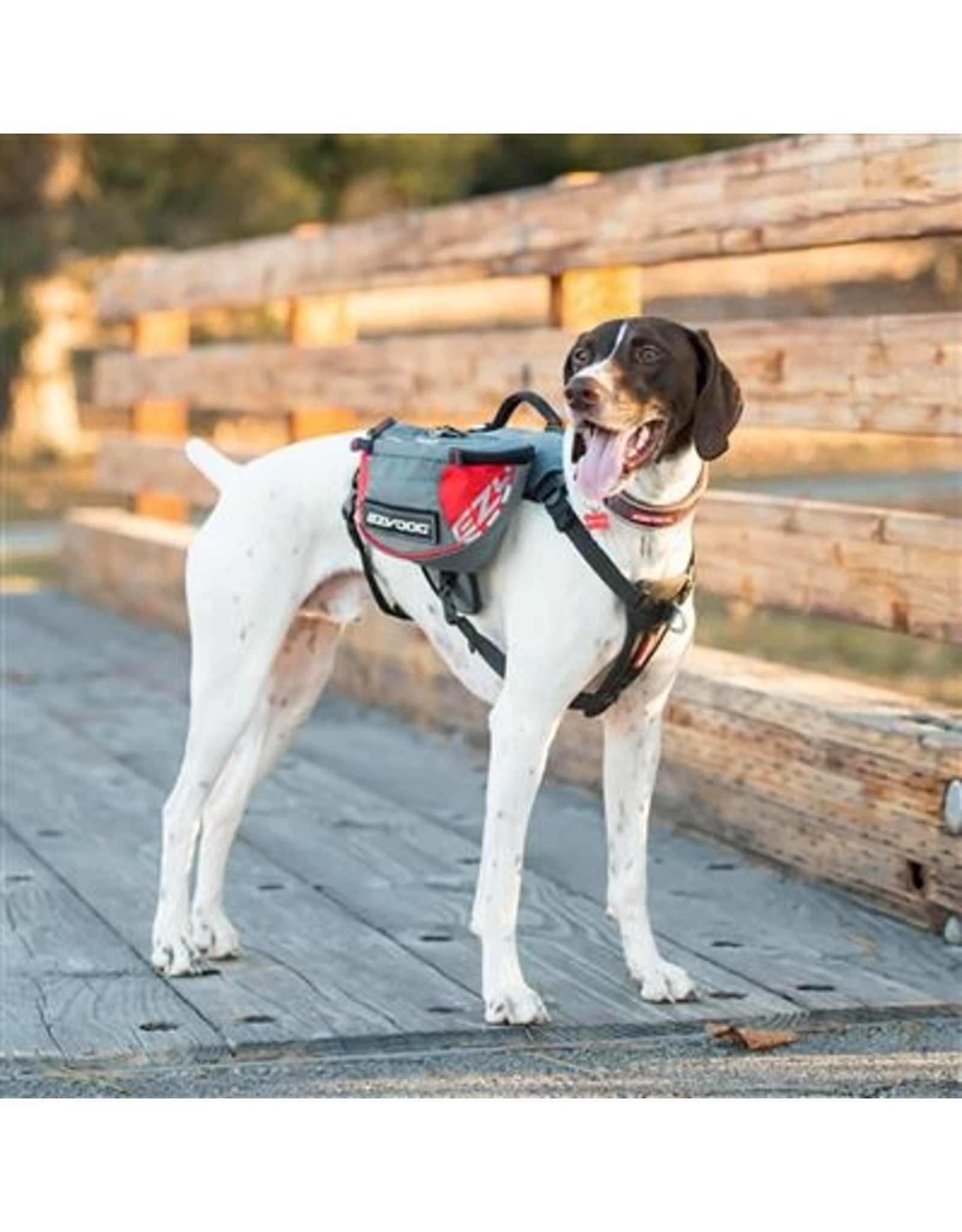 EzyDog Summit Back Pack Red & Gray