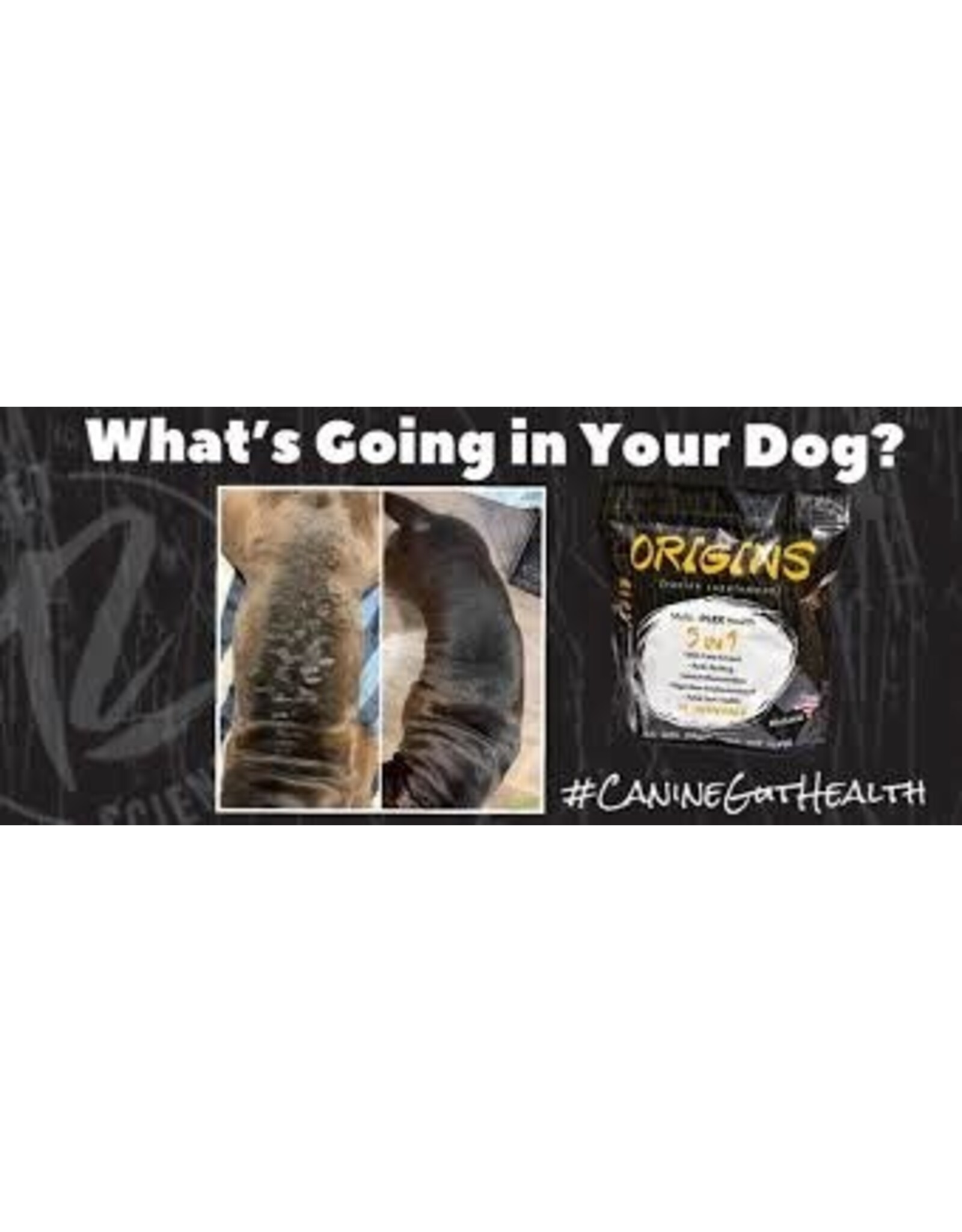 Rogue Pet Science Rogue Pet Feed Origins Canine + Feline