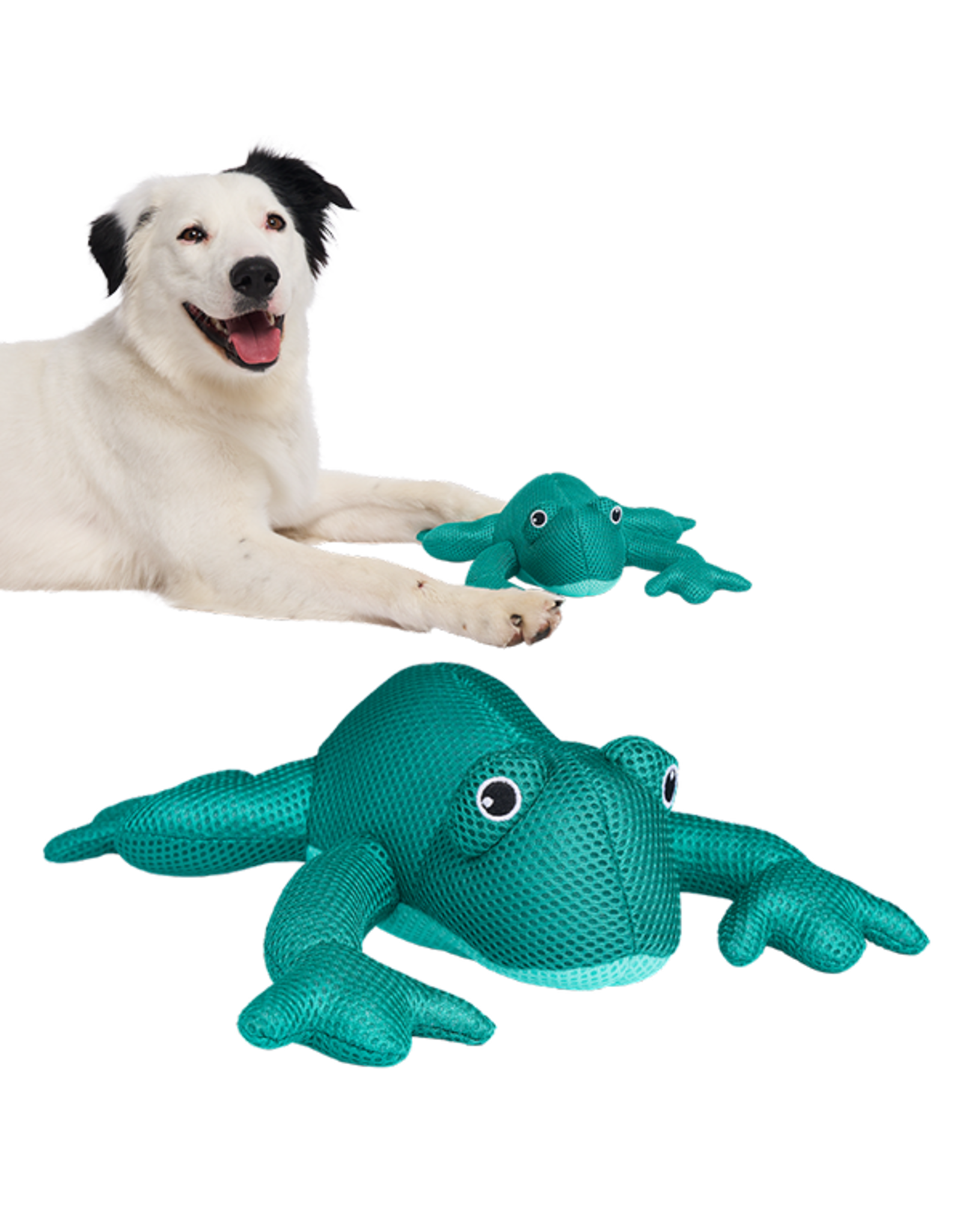 Canada Pooch Chill Seeker Cooling Pals Teal Frog O/S