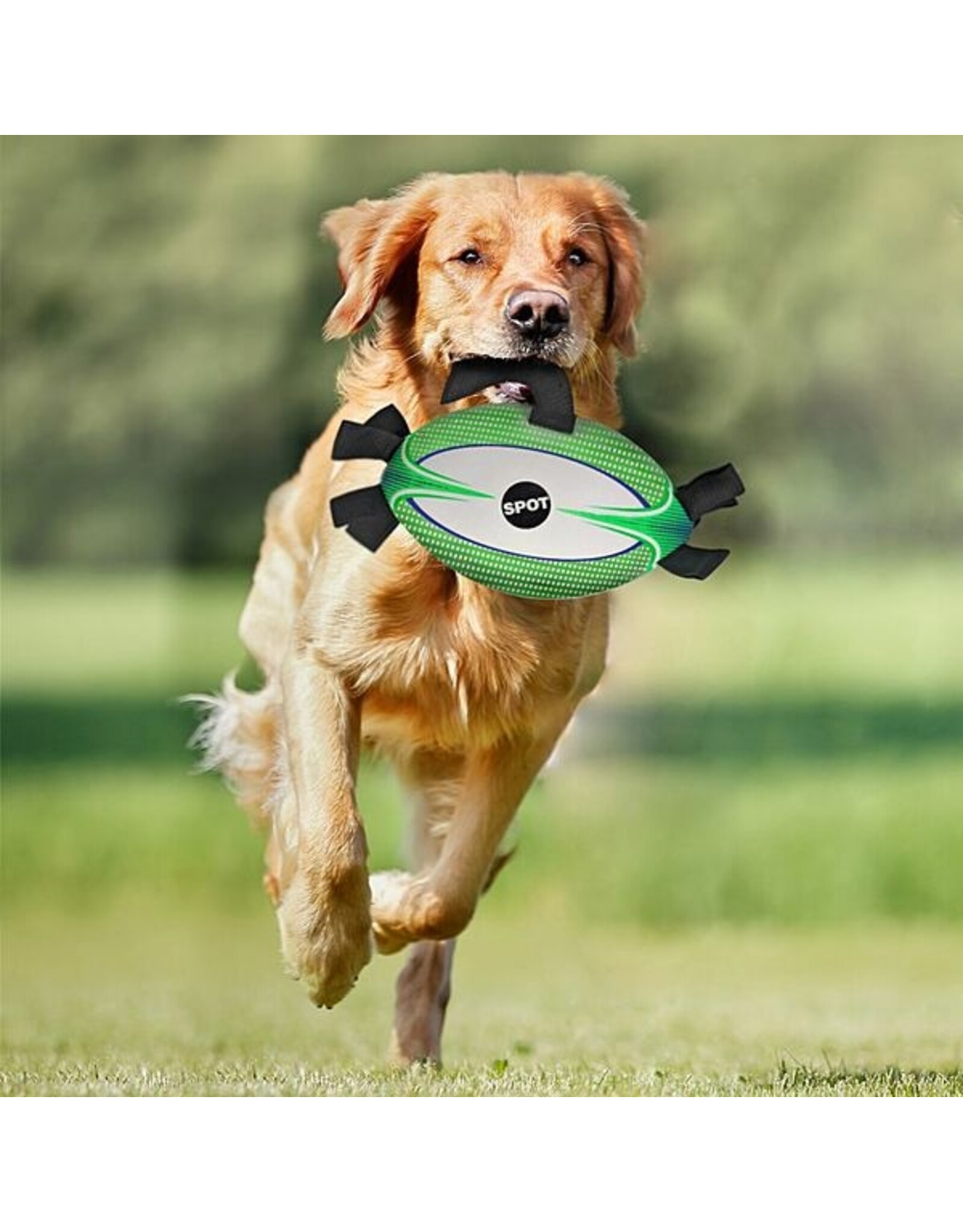 Spot - Ethical Pet Products Football With Ez-Tabs Interactive Dog Toy