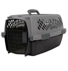 Aspen Pet Pet Porter 19" Gray