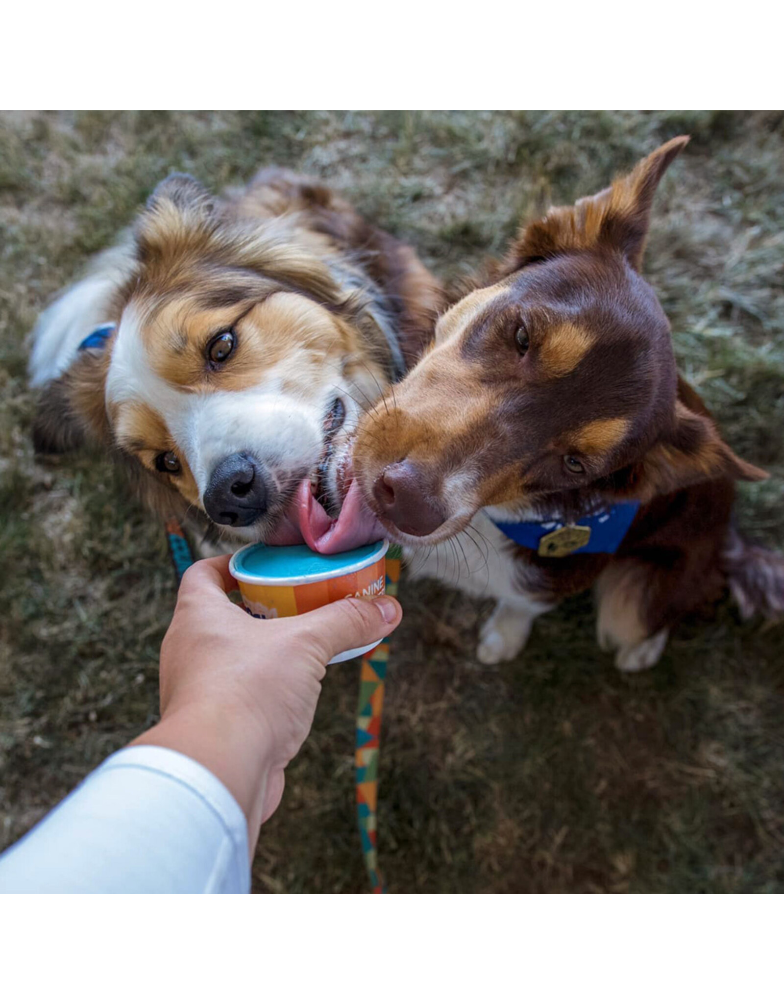 Frozen Goat Yogurt: Fundae – 300ml