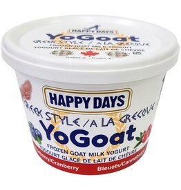 Frozen Greek Yogurt  Blueberry/Cranberry 475G