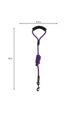 BrookBrand Pets Short Leash