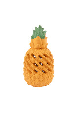 BrookBrand Pets Zilla Pineapple