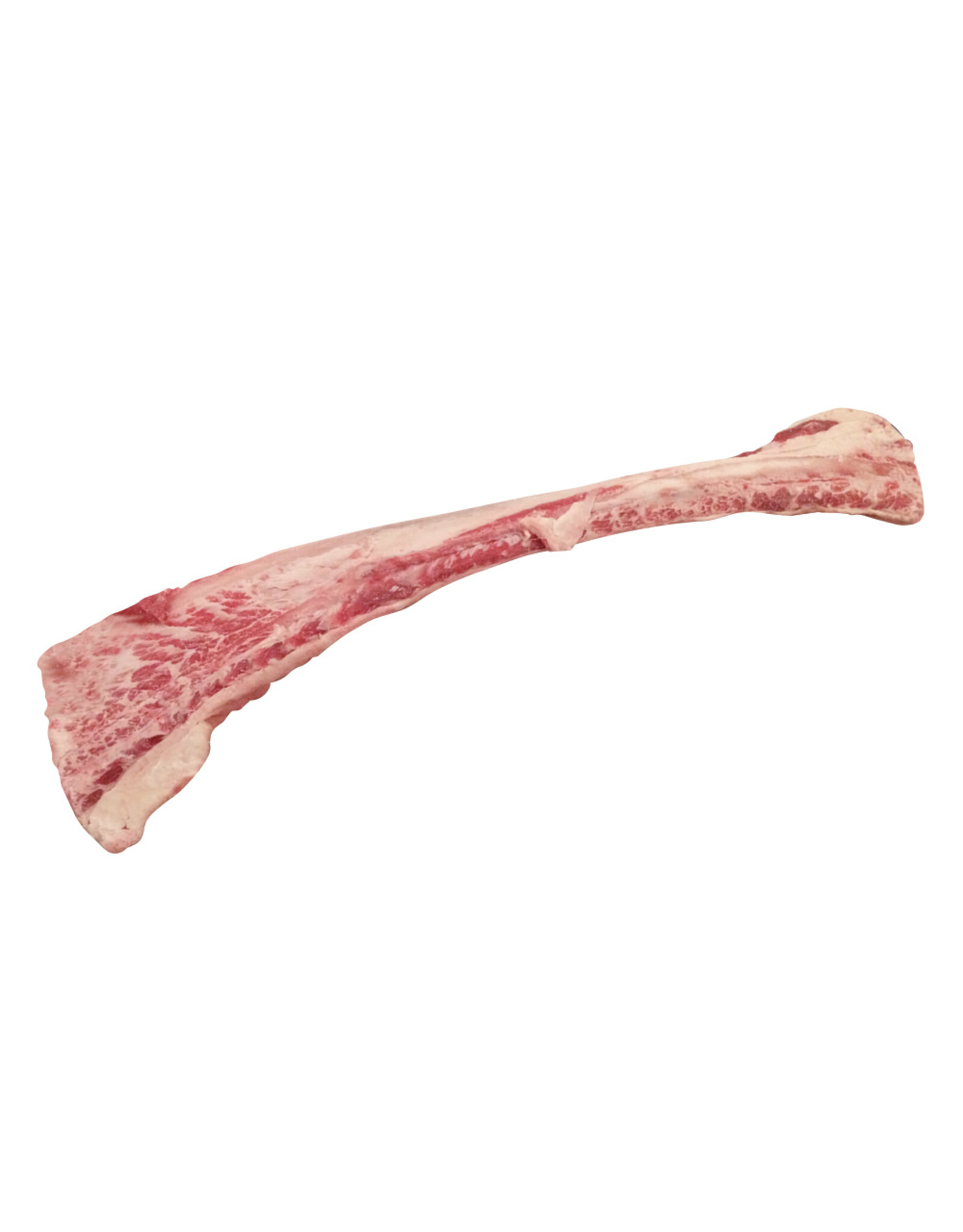 Big Country Raw Flat Rib Bone – 1 Pc