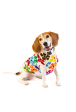 ChillyDog Bloom Cream & Flowers Sweater