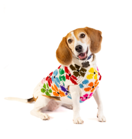 ChillyDog Bloom Cream & Flowers Sweater