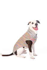 ChillyDog Sprinkles Grey Multicolor Sweater