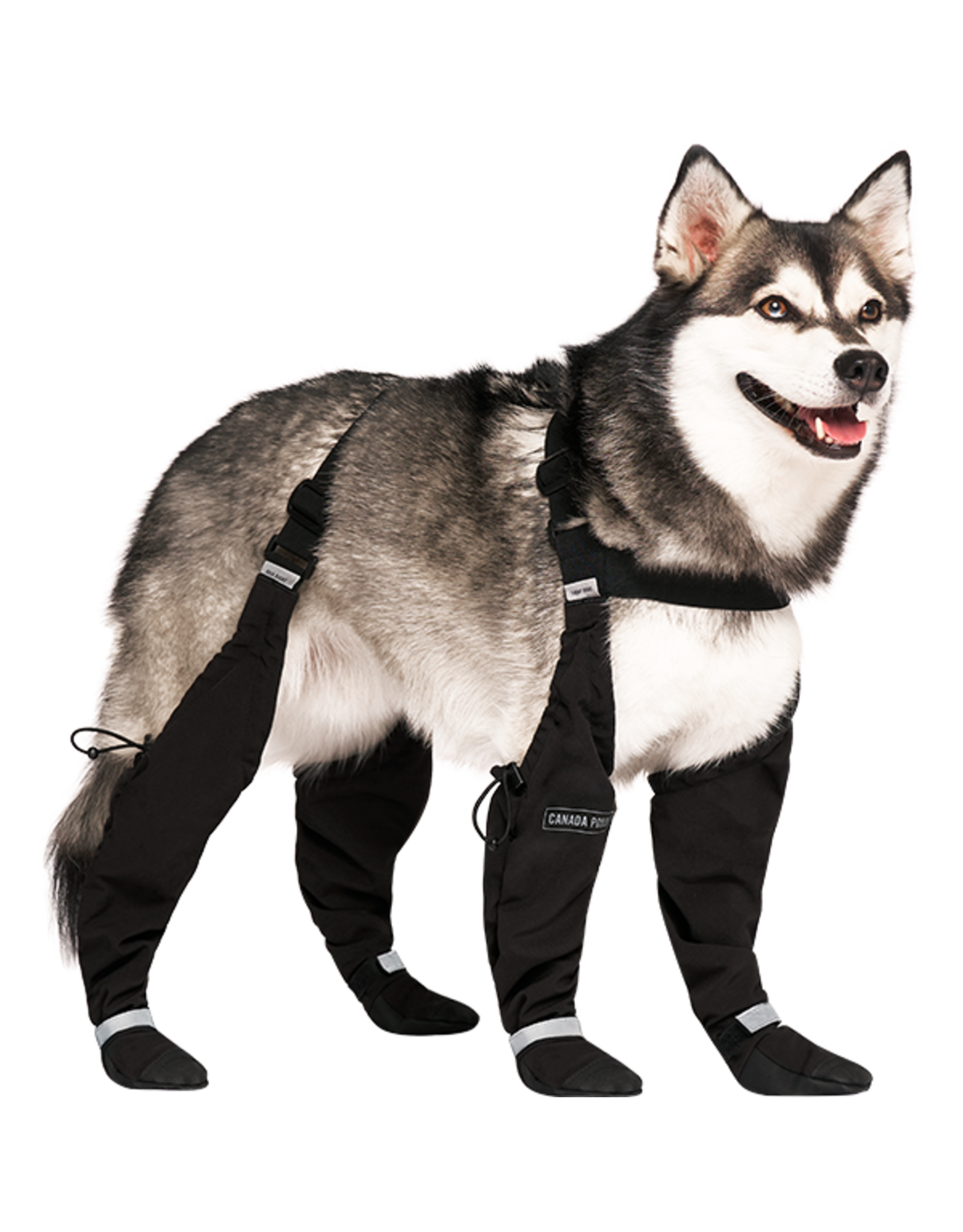 Canada Pooch Suspender Boots