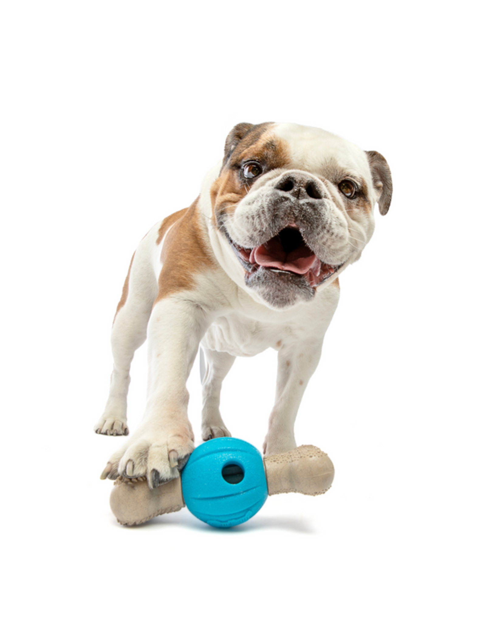 Guru Pet Company Spin & Chew Bone Medium - Bacon