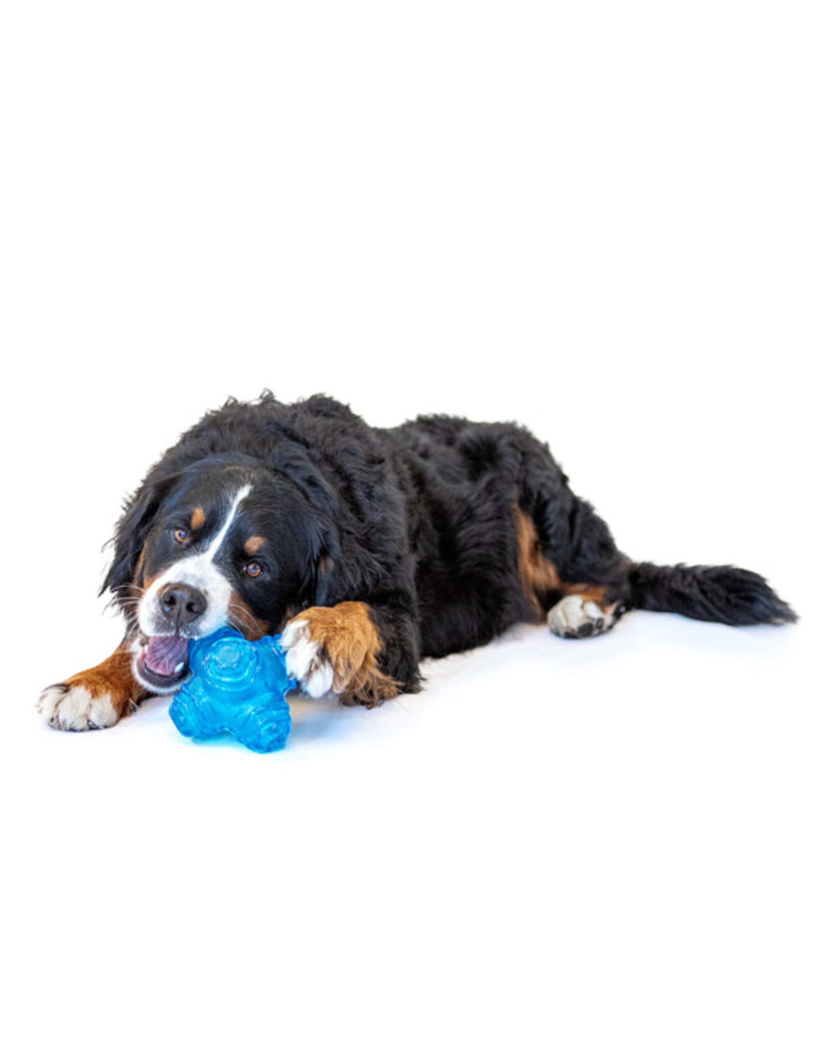 Guru Pet Company Puzzle Jack - Medium