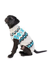 ChillyDog Frost Snowflakes