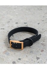 Dexy Paws Dog Waterproof Collar