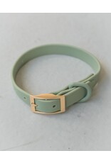 Dexy Paws Dog Waterproof Collar