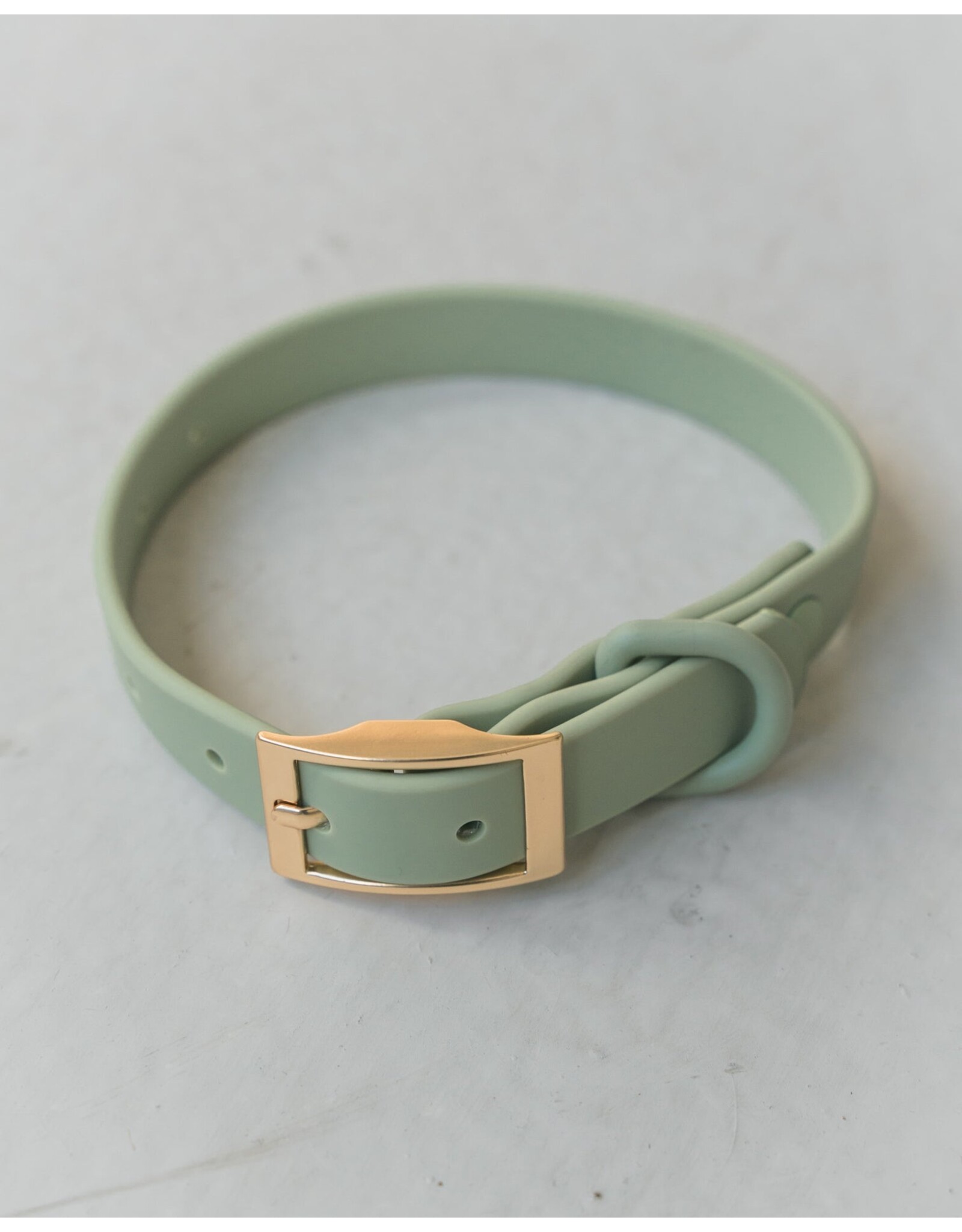 Dexy Paws Dog Waterproof Collar