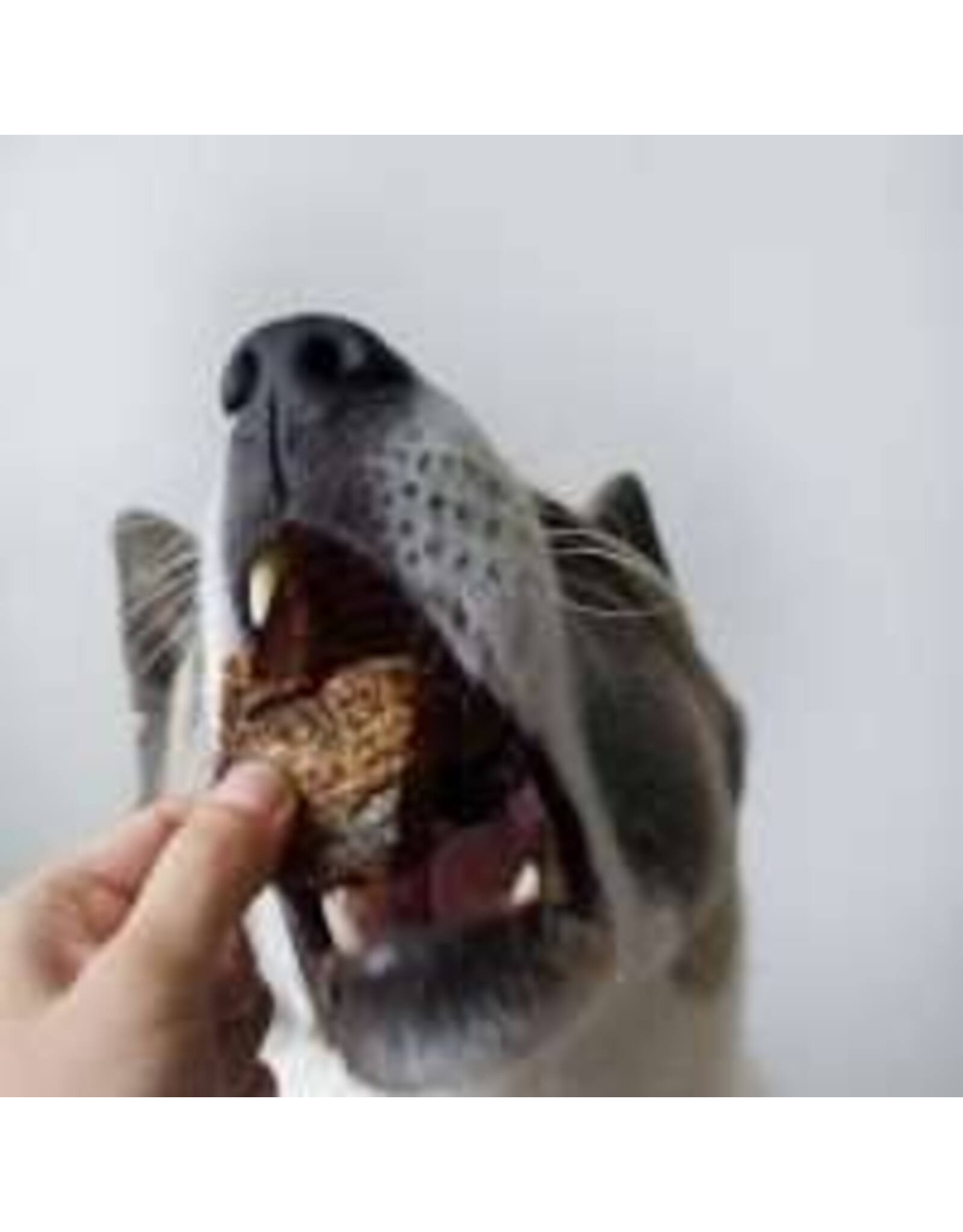 HealthyBud Cod Skins/Cubes 80 g