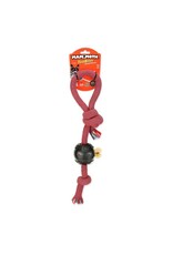 Mammoth Pet Products TB Ball TreatStation