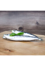 Big Country Raw Frozen Sardines 1lb