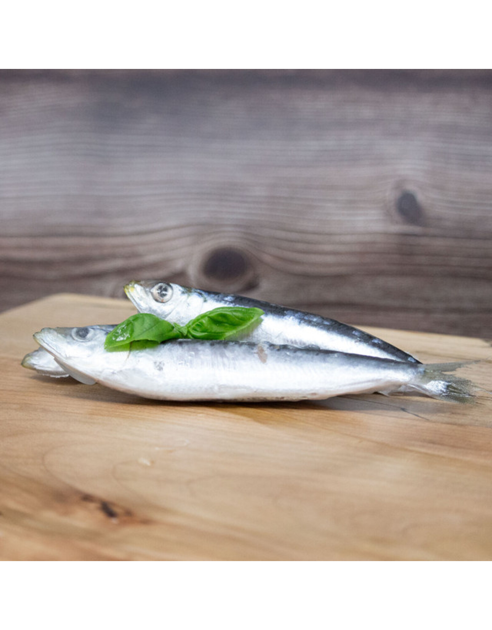 Big Country Raw Frozen Sardines 1lb