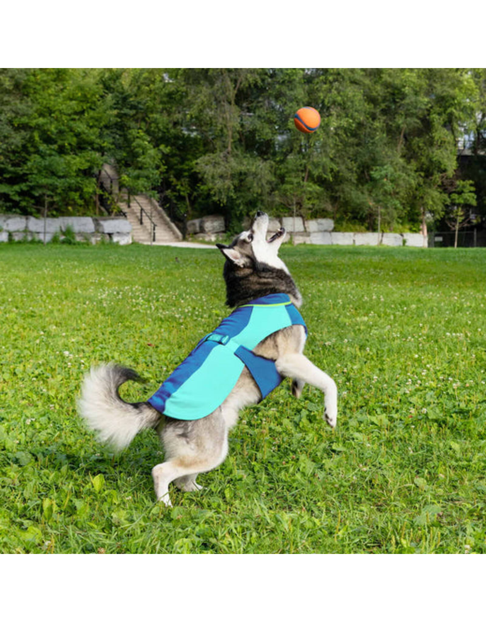 Canada Pooch Max Chill Cooling Harness