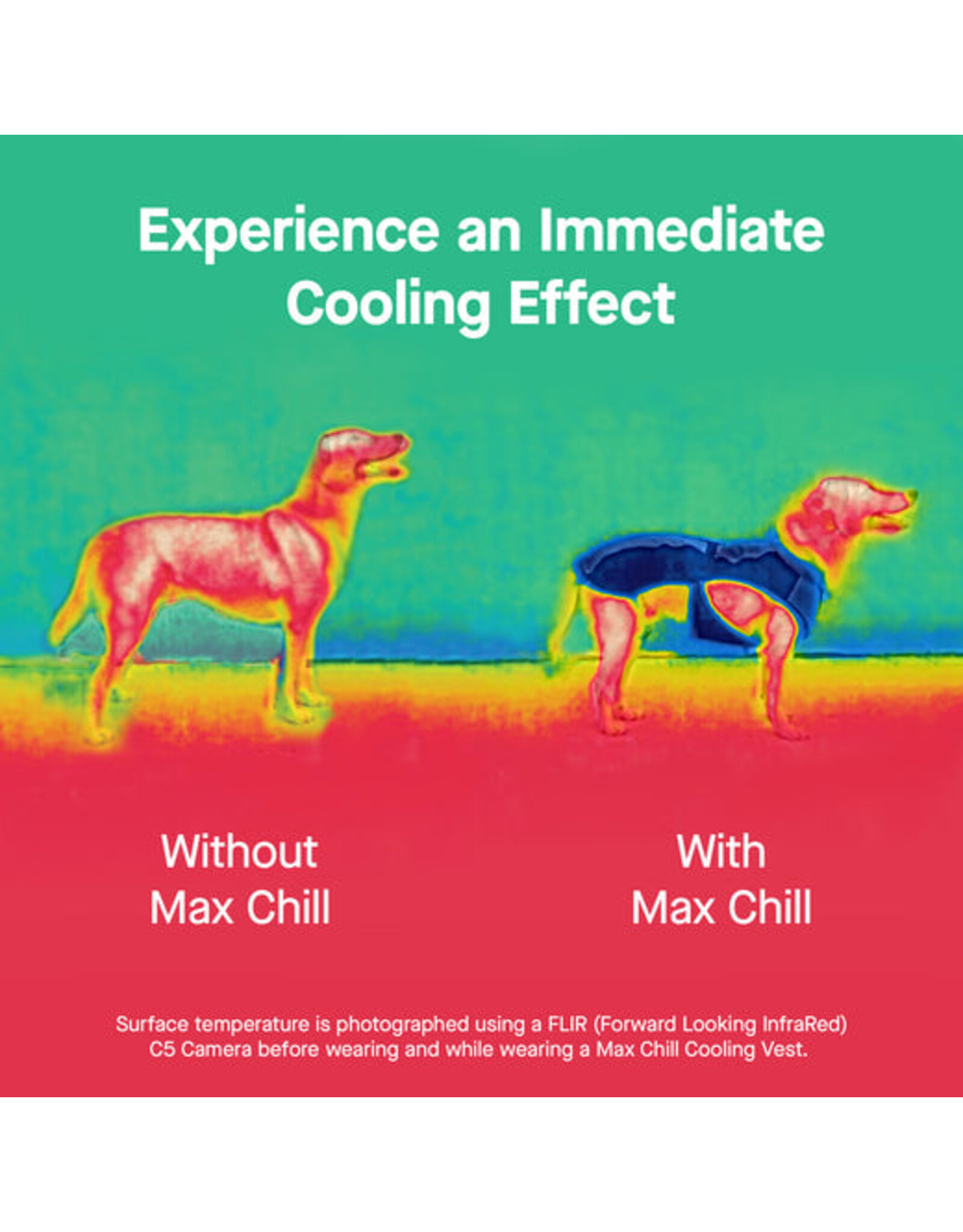 Canada Pooch Max Chill Cooling Harness