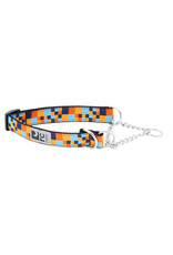 RC Pets Training Collar
