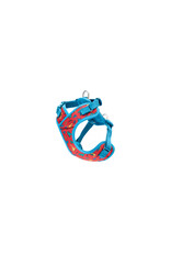 RC Pets Petite Explorer