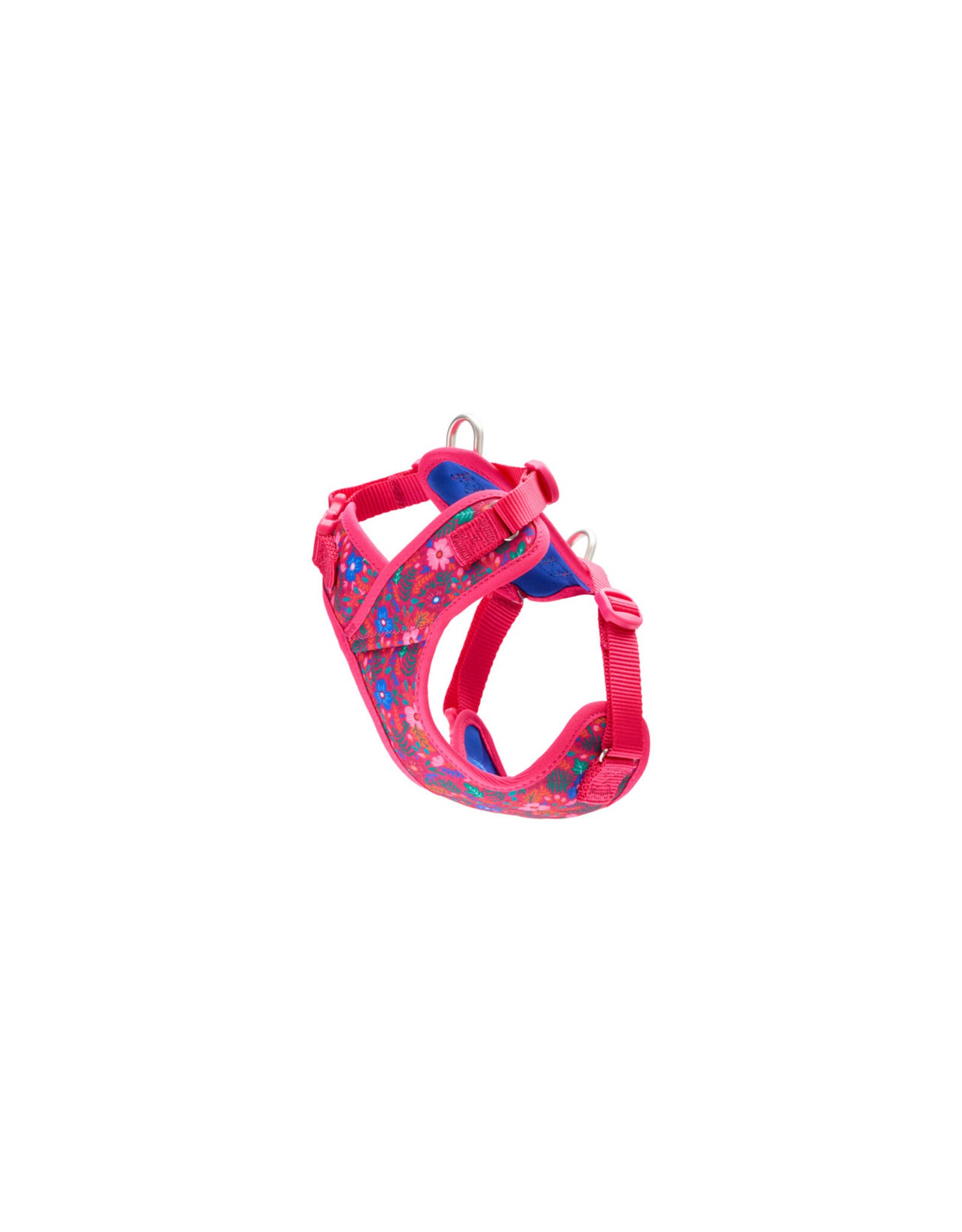 RC Pets Petite Explorer