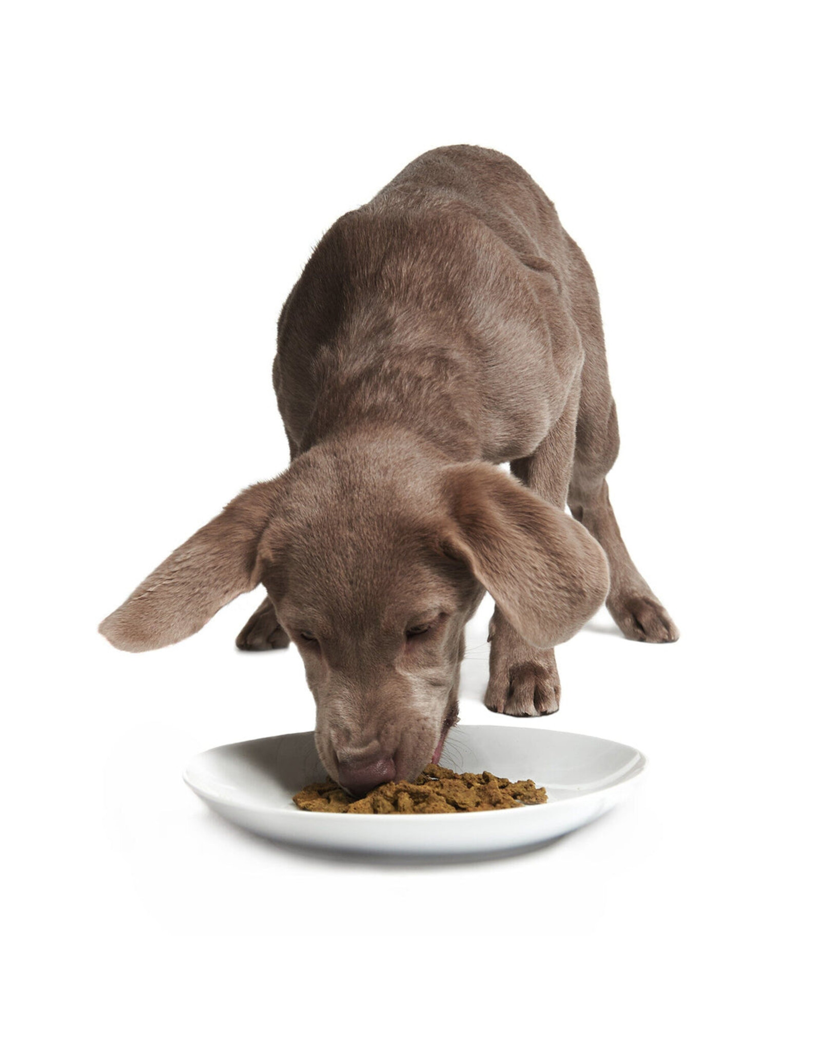 Smack Rockin' Rockfish Dog 2.5kg