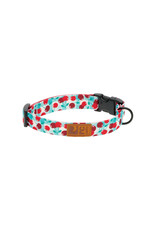 RC Pets Eco Collar