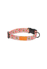 RC Pets Eco Collar