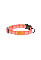 RC Pets Eco Collar