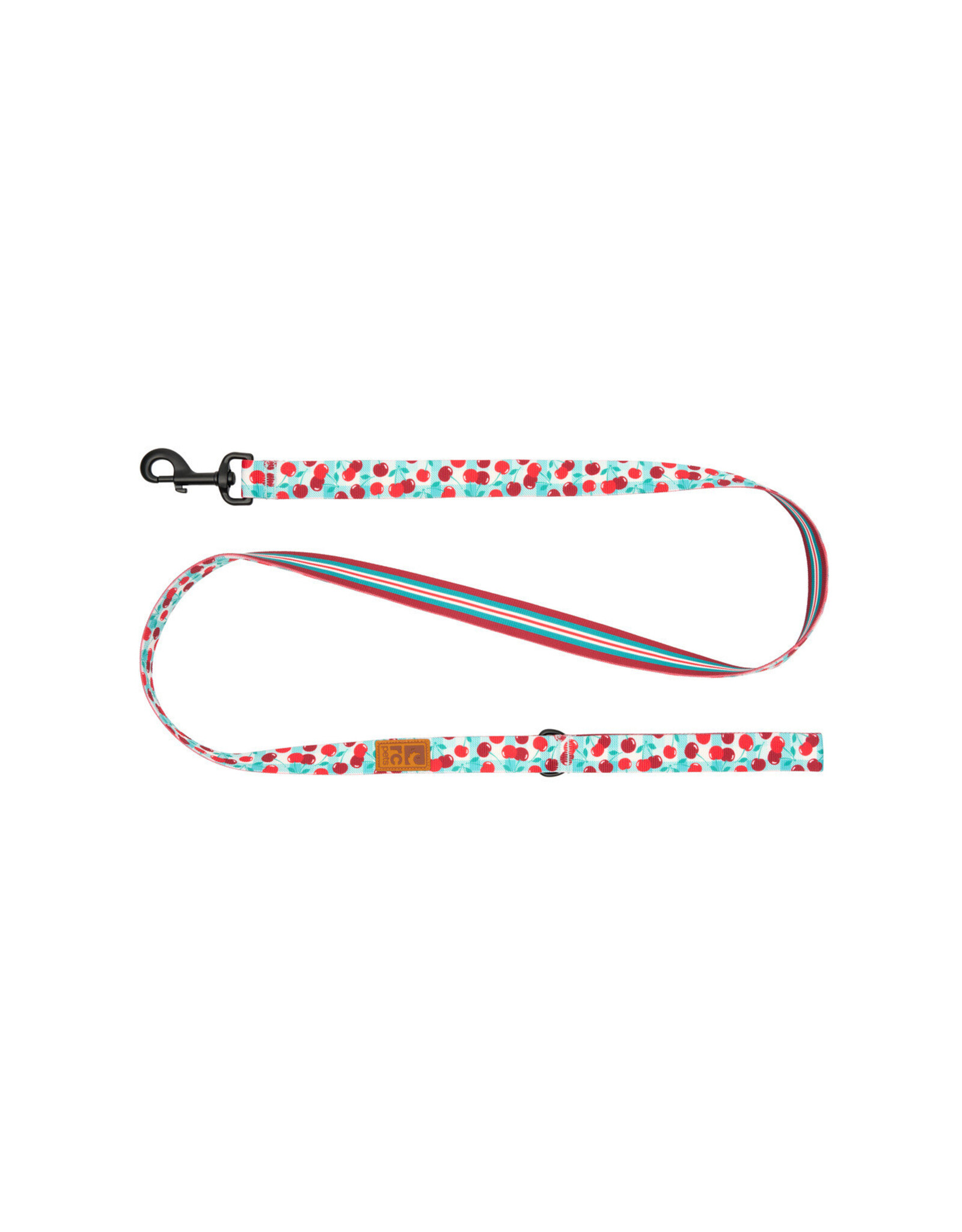 RC Pets Eco Leash