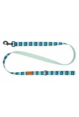 RC Pets Eco Leash